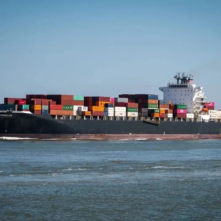 别让<em>代理</em><em>费用</em>绊住你，新加坡假发出口看过来！