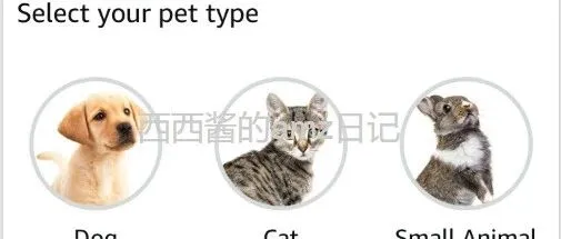 为什么你一直做宠物类，却从没注意过这个入口？亚马逊 Pet Profile：你可能忽略了整个推荐系统背后的“隐藏档案”