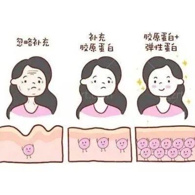 妮凯丽胶原蛋白<em>是什么</em>档次?根据<em>品牌</em>/成分/价格全解析