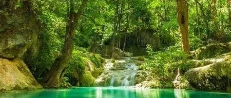 美文阅读：Hungry Like a <em>Wolf</em>