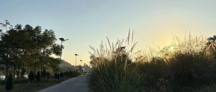 黑五表现平平，小卖家在煎熬？