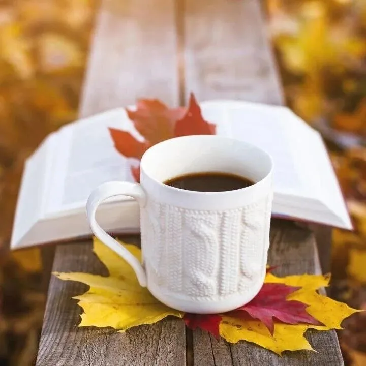 薅羊毛！亚马逊选品运营工具免费试用！