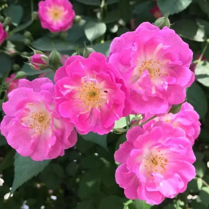 中医“虚实”有7重<em>含义</em>……