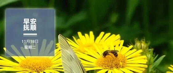 早安，<em>抚顺</em> | 2025年11月18日