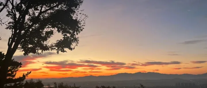 法律的空白，现实的重量——韩国中年画像