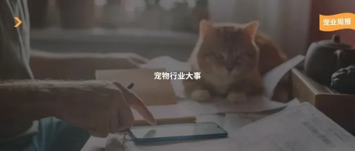 宠物经济再迎利好政策、千万融资，浙江一动保公司做起宠物食品
