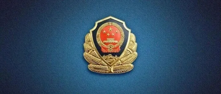 恶意<em>拨打</em>110报警<em>电话</em>，拘！