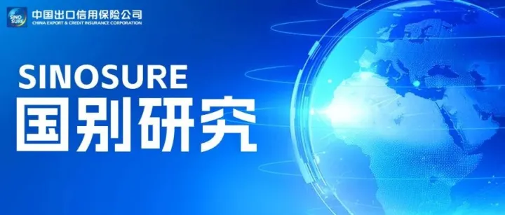 掘金巴西：聚焦能源转型，布局优势产业 | 国别研究