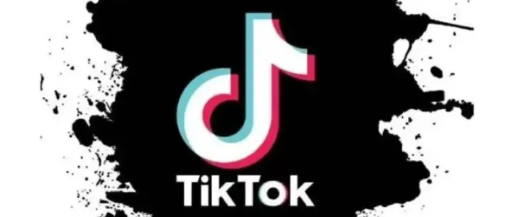 TikTok爆款密码破解：零粉丝也能出圈的5大核心法则