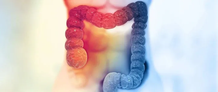 指南速览 | ESMO局限期直肠癌诊断、治疗和随访指南（上）