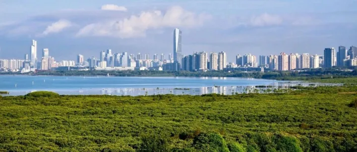 On-<em>Site</em> Investigation of IMC Secretariat Construction