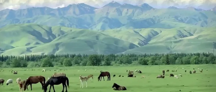 广告烧钱没<em>单</em><em>怎么办</em>？