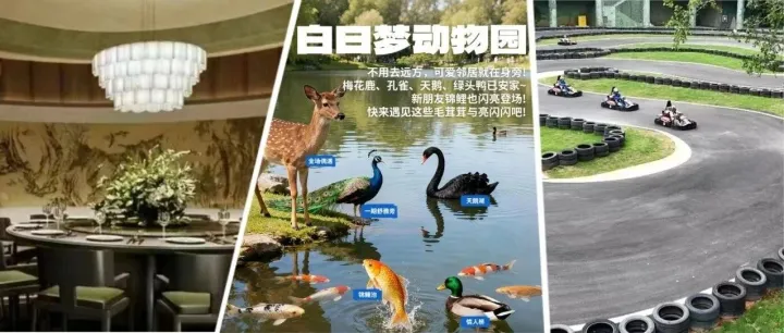 梅<em>沙</em>“隐藏副本”上线，这份2.0通关攻略请收好