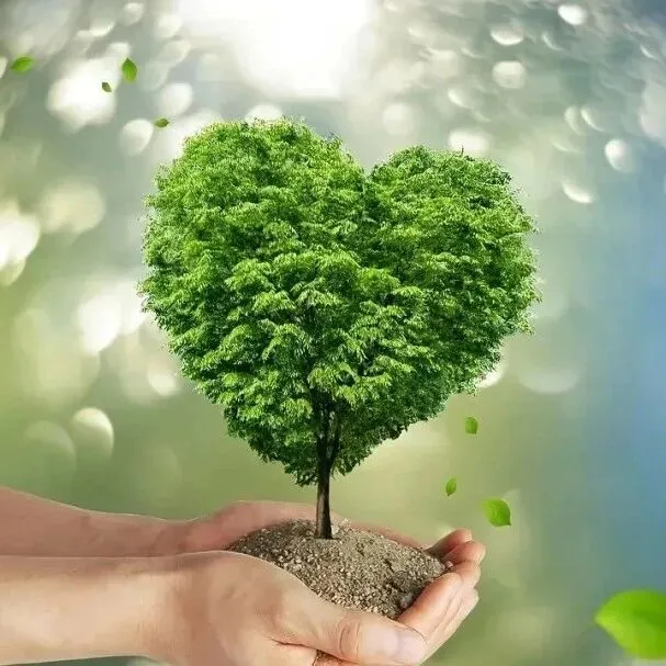 碳捕集快报<em>合集</em>(<em>2025</em>年11月22<em>日</em>~~<em>2025</em>年11月16<em>日</em>）