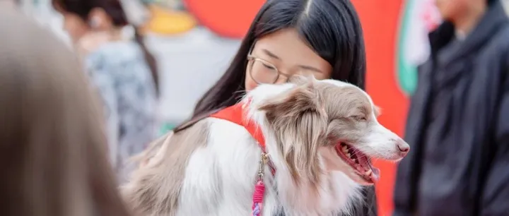 在三七，治愈与被治愈，都是工作的一部分