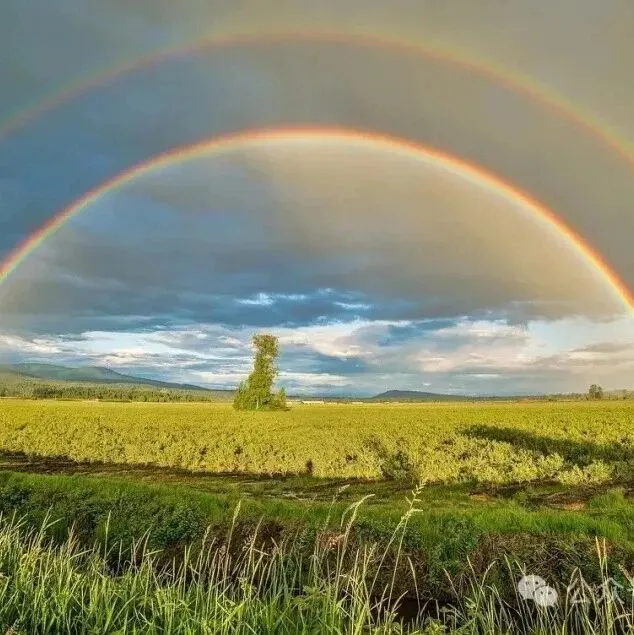 碳捕集快报<em>合集</em>(<em>2025</em>年11月29<em>日</em>~~<em>2025</em>年11月23<em>日</em>）