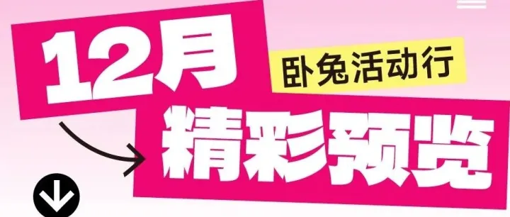 11月卧兔活动行圆满收官，12月卧兔活动纷呈合作从速
