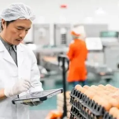 【盈拓展览】2026年阿拉伯联合酋长国迪拜国际食品加工机械展览会：探索人工智能在食品行业的应用