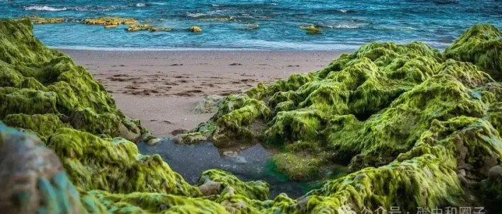 CCUS市场：低压吸附+纳米膜协同破局～～新一代气-液碳捕集技术中标火电可研项目!