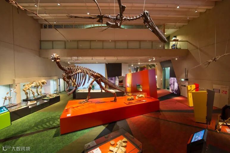 Museum for Teens: Lost Creatures – Queensland Museum Blog