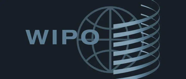 WIPO报告详述消费者对知识产权认知的变化
