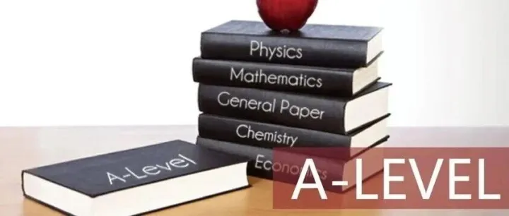 致全体将要“入坑”A <em>Level</em>的宝宝们：史上最全A <em>Level</em>指南来了！