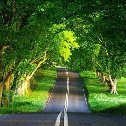 <em>sleeping</em> partner怎么理解？