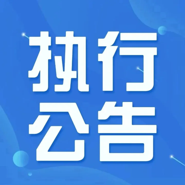 【安法九章·执行】甘肃省定西市安定区人民法院执行公告