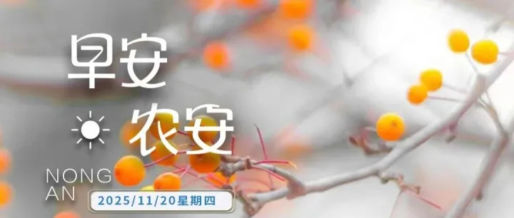 <em>四平</em>市事业单位招聘