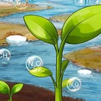 FESE | <em>Volume</em> 19 Issue 11 上线