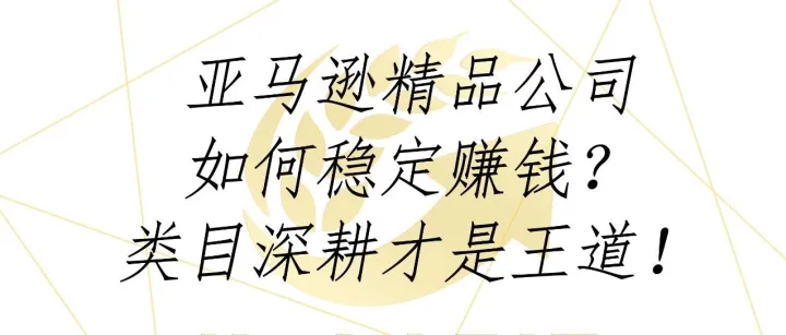 亚马逊精品公司如何<em>稳定</em><em>赚钱</em>？类目深耕才是王道！