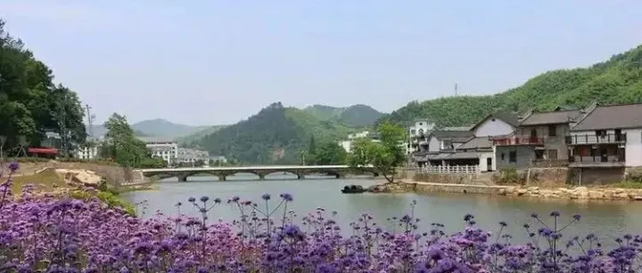 备考专题：单词<em>句中</em>背21