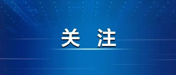 'Zero Tolerance' — Top Court Highlights Domestic Violence <em>Cases</em>