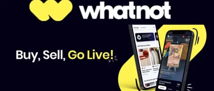 Whatnot禁售的特货产品，正在悄悄流向独立站
