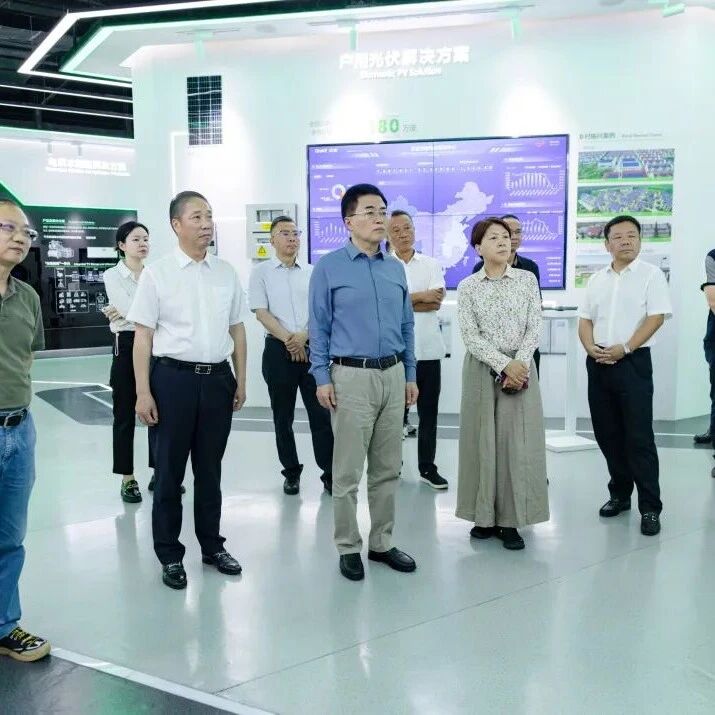 【两新动态】全国人大常委会委员、财经委副主任委员翁杰明一行到正泰集团调研考察- 大数跨境