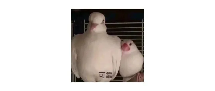 “goose”是鹅, "<em>step</em>"是步伐, 那goose <em>step</em>是什么意思?