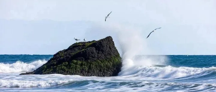 <em>2004</em>年，中国培训寒武纪大爆发前夜