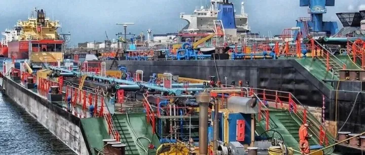 【全球舵手的进阶手册】中国企业出海领导力：从北极浮冰到热带雨林的生存智慧