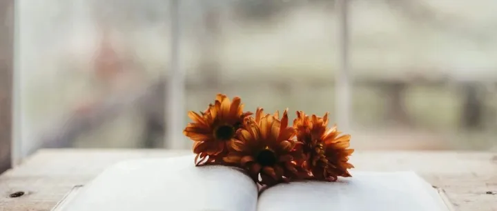 别再照搬 Shopee 玩法！Lazada 运营核心：重广告 + 多活动，这样玩才赚钱