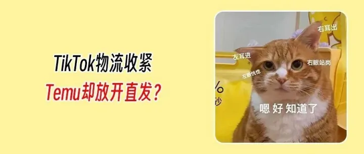 倒计时！TikTok Shop美国标签新规调整中，Temu欧盟Y2全面上线！