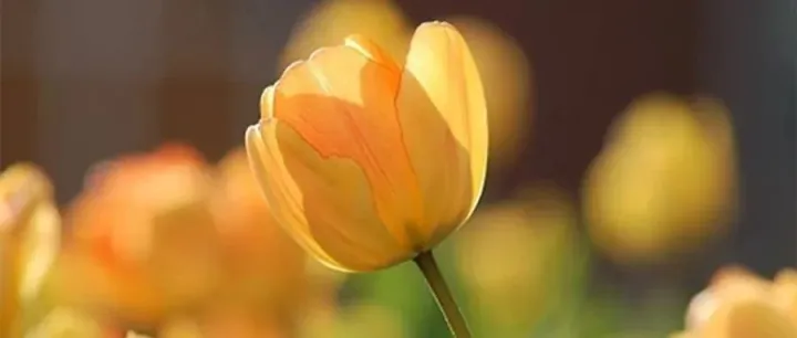 <em>小</em>初高电子课本<em>合集</em>PDF<em>打包</em>下载