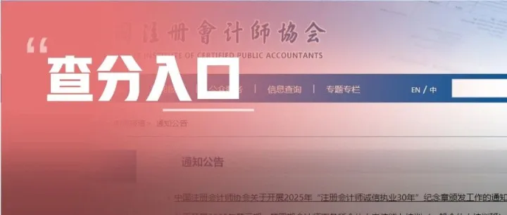 2025年<em>CPA</em>查分入口正式开通！