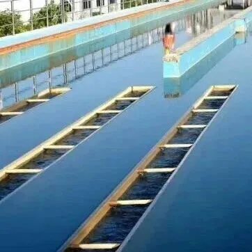 肇庆，有这些大<em>变化</em>！