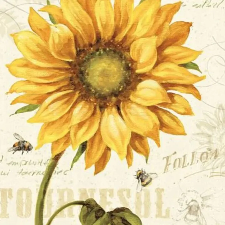 Lisa &lt;em&gt;Audit&lt;/em&gt;向日葵版权图25-cv-01609