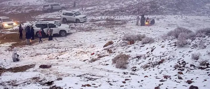 收到“冬季体验卡”！沙特官宣：12月1日起正式入冬！