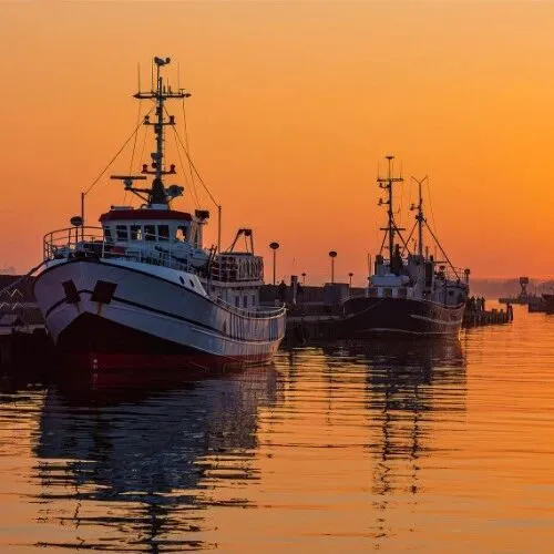 以案释法 | “<em>舟山</em>带鱼”引发的诉讼