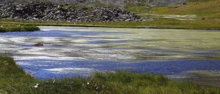 How Many Types of Blue Does Sayram <em>Lake</em> Have?