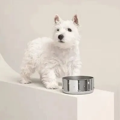 爱马仕新<em>上</em>架2万元不锈钢狗碗，<em>客服</em>：只剩少量库存