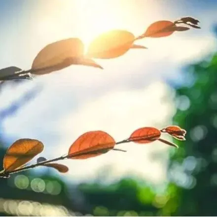 “ask for the <em>moon</em>”是什么意思？