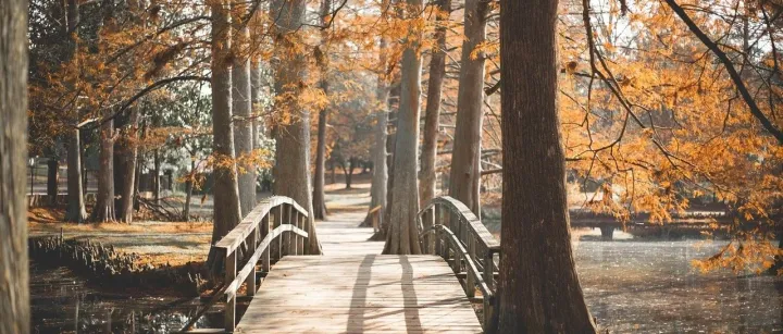 建工实务 | 建筑工程结算<em>价格</em>调差<em>全面</em><em>解析</em>